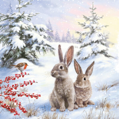 Bunnies in Snow